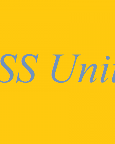 NSS Units