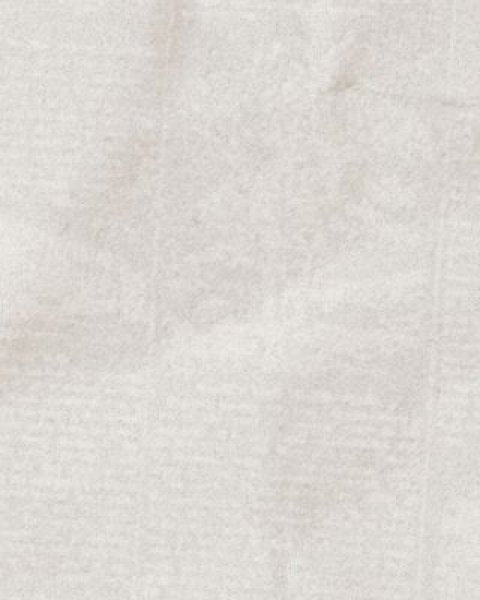 AIAT First Newsletter Announcement banner